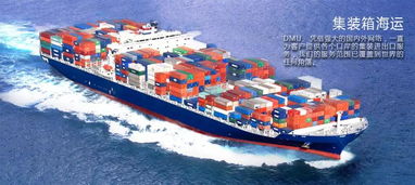 大木國(guó)際物流邀您參觀義烏物流展c1 b85展位