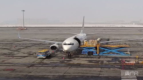 新疆國際貨運包機業務全面恢復，為國際物流注入新動能